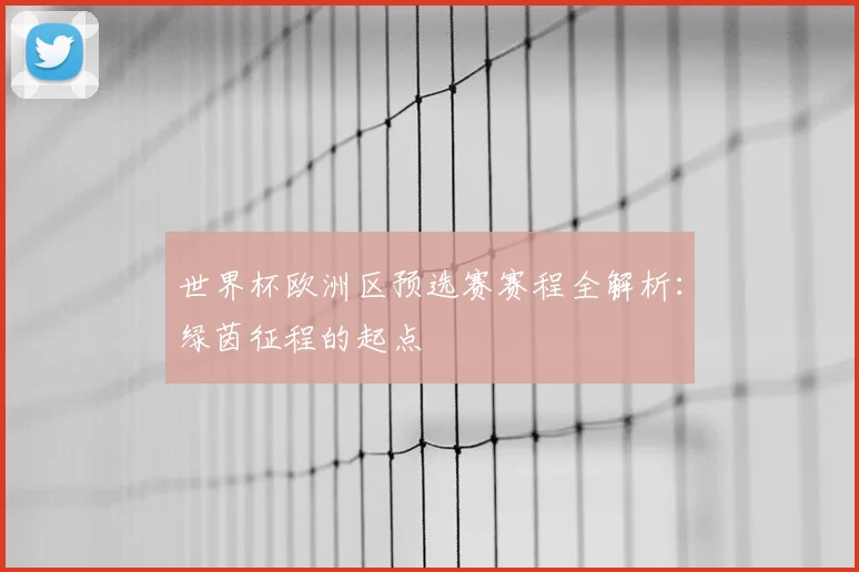 世界杯欧洲区预选赛赛程全解析：绿茵征程的起点
