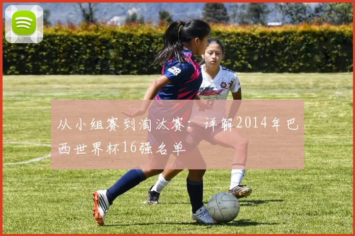 从小组赛到淘汰赛:详解2014年巴西世界杯16强名单