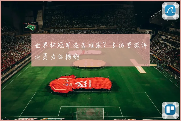 世界杯冠军花落谁家？专访资深评论员为你揭晓