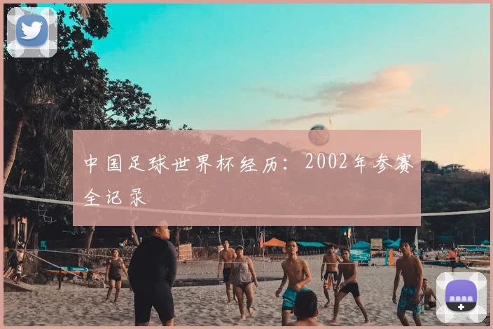 中国足球世界杯经历：2002年参赛全记录