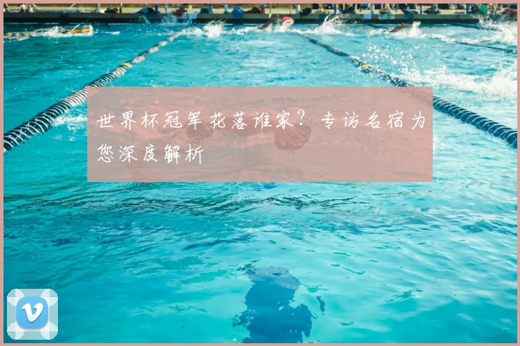 世界杯冠军花落谁家？专访名宿为您深度解析