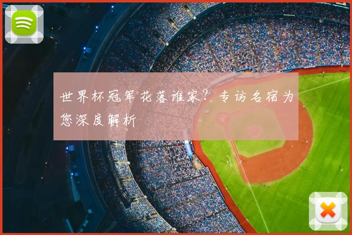 世界杯冠军花落谁家？专访名宿为您深度解析