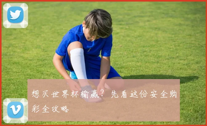 想买世界杯输赢？先看这份安全购彩全攻略