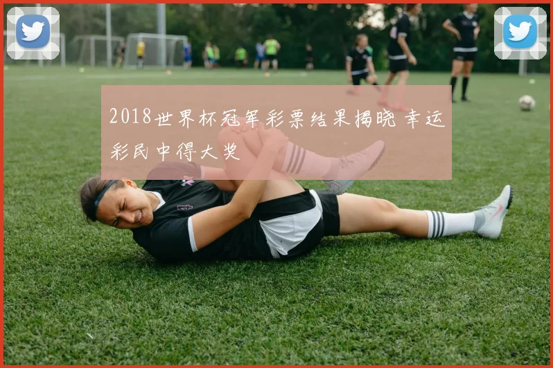 2018世界杯冠军彩票结果揭晓 幸运彩民中得大奖