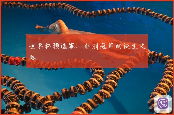 世界杯预选赛：非洲冠军的诞生之路