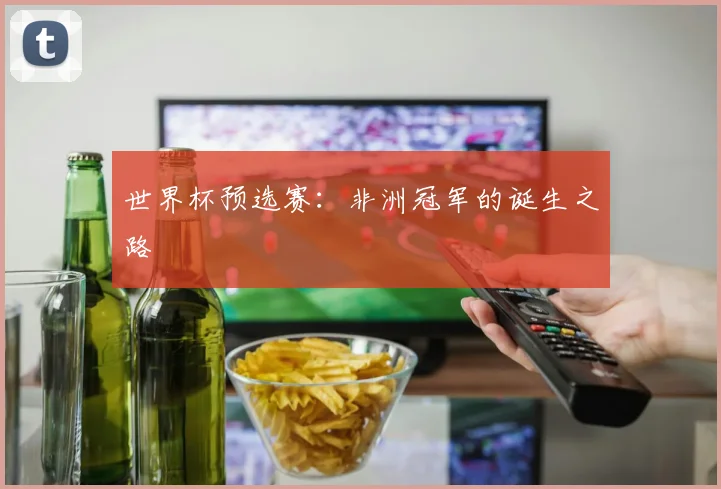 世界杯预选赛：非洲冠军的诞生之路