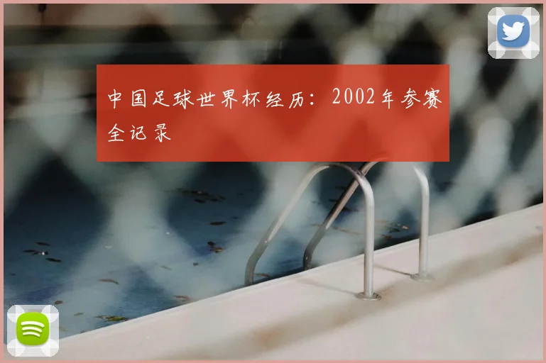 中国足球世界杯经历：2002年参赛全记录