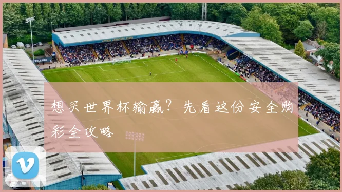 想买世界杯输赢？先看这份安全购彩全攻略